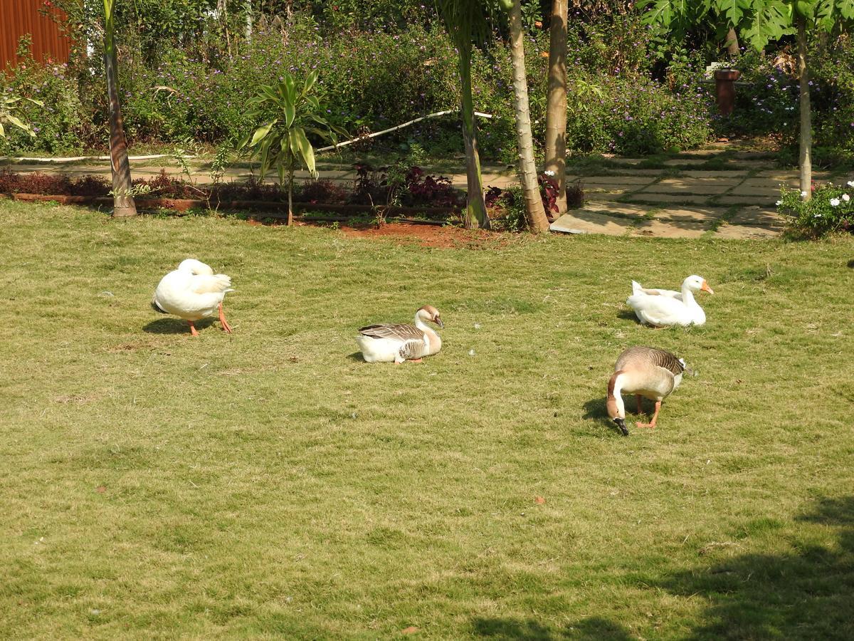 Nature Leap Resort Igatpuri Zewnętrze zdjęcie