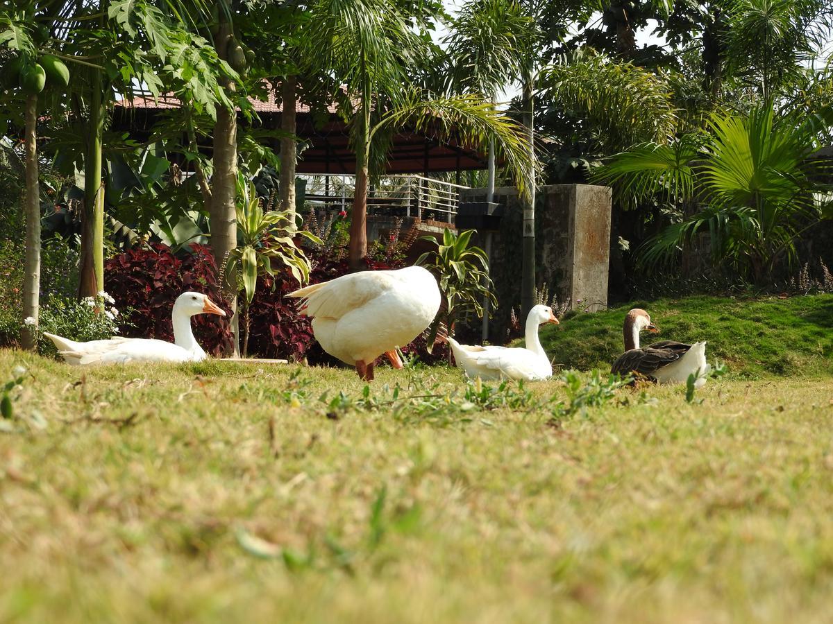Nature Leap Resort Igatpuri Zewnętrze zdjęcie