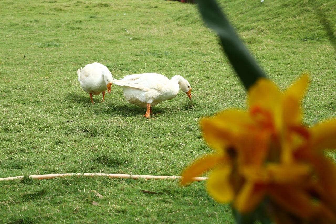 Nature Leap Resort Igatpuri Zewnętrze zdjęcie